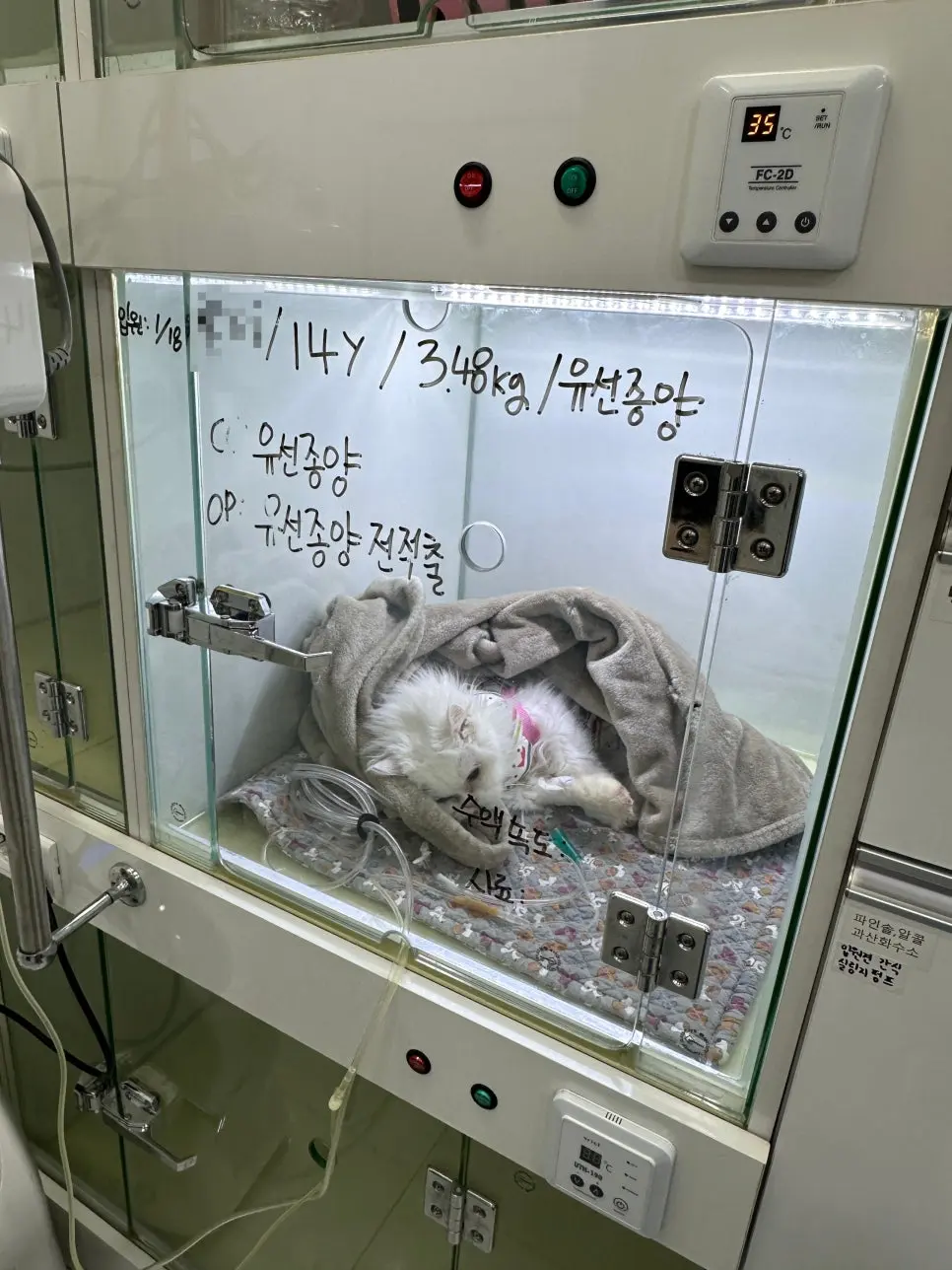 회복장 온도를 35도에 맞춰 두었습니다. 마취에서 깨는 동안 체온이 내려가지 않도록 잡아 줍니다.