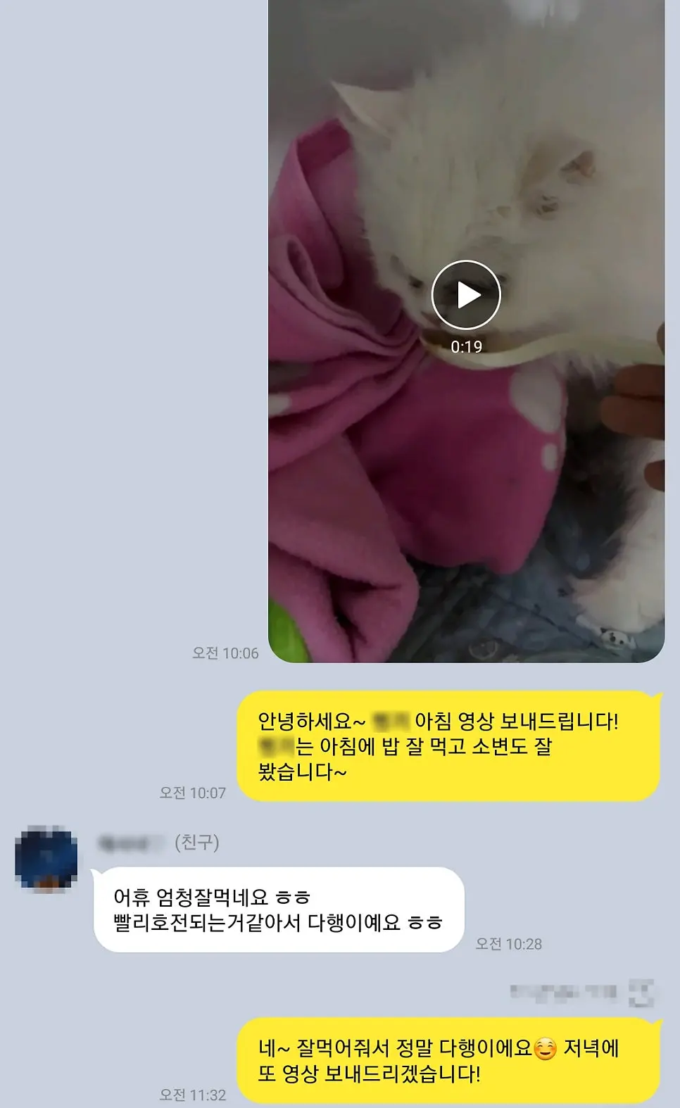입원 중 아침에 보호자께 보낸 안내입니다. 밥을 잘 먹고 소변도 봤다는 내용을 영상과 함께 전해 드렸습니다.