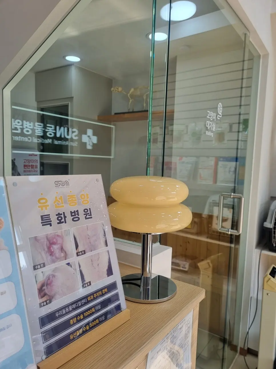 유선종양 진료 안내판, 그 뒤로 보이는 고양이 전용 대기 공간입니다.