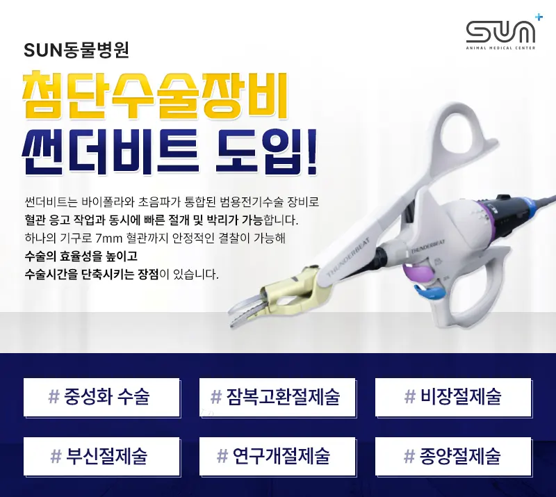 2세 행복이 고양이 중성화 수술
