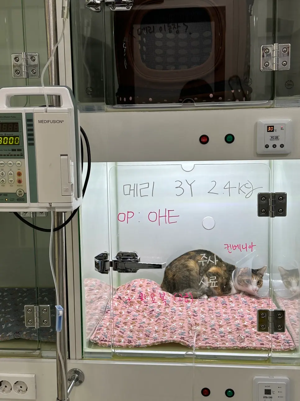 입원장 문에 메리의 나이와 체중, 예정된 수술 내용을 적어 두고 관리합니다.
