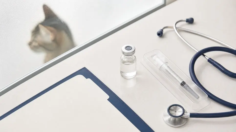 진료대에 준비된 접종용 백신과 차트