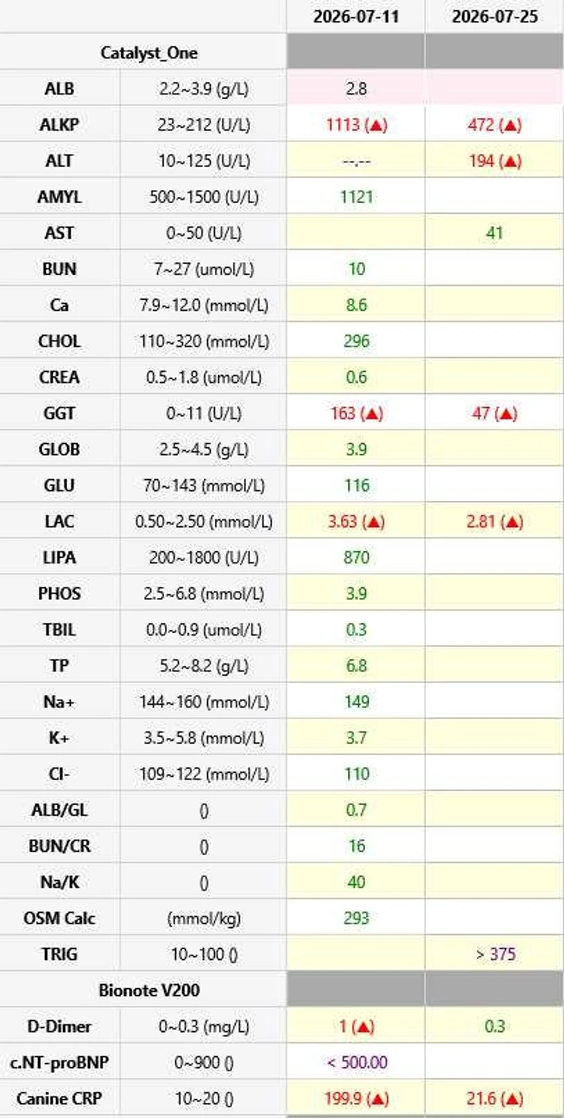 실제 검사 장비 출력값입니다. 왼쪽이 수술 전(7월 11일), 오른쪽이 재검(7월 25일)이에요.