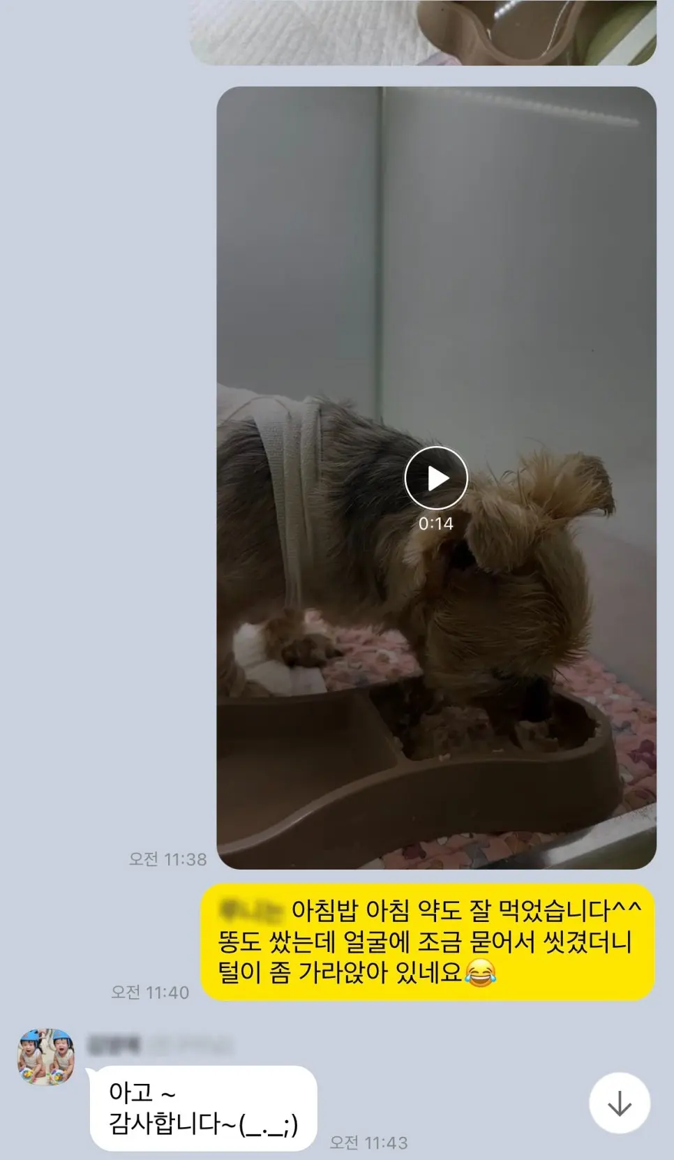 다음 날 아침, 밥과 약을 모두 잘 먹었다고 보호자님께 전해 드렸습니다