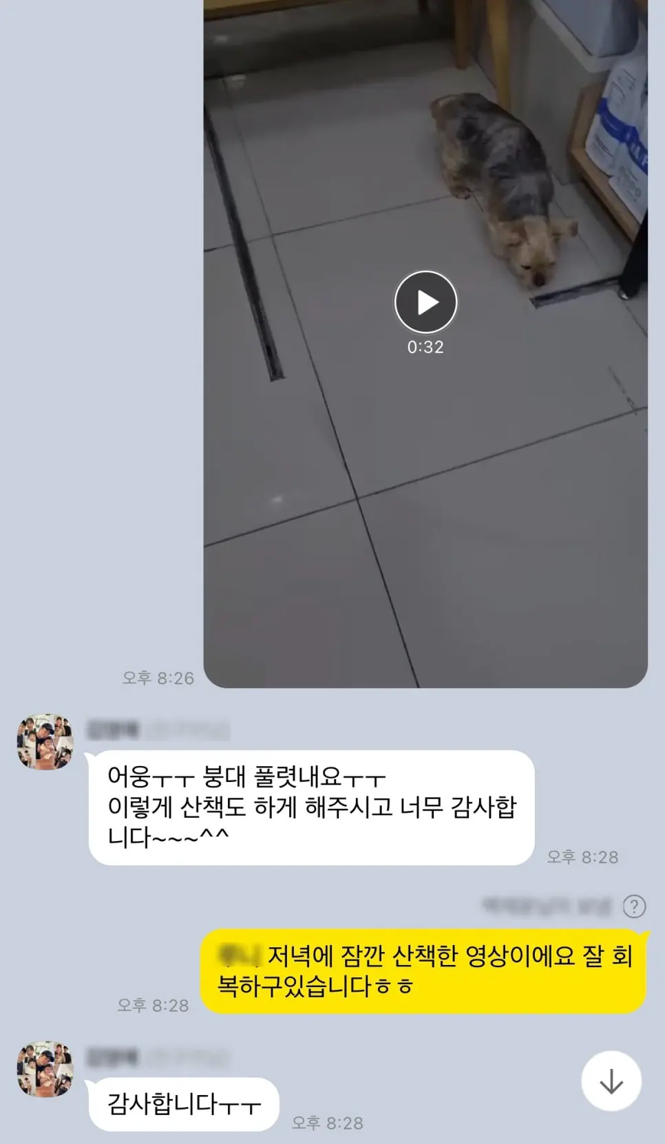저녁에 잠깐 걸어 본 영상도 함께 보내 드렸습니다