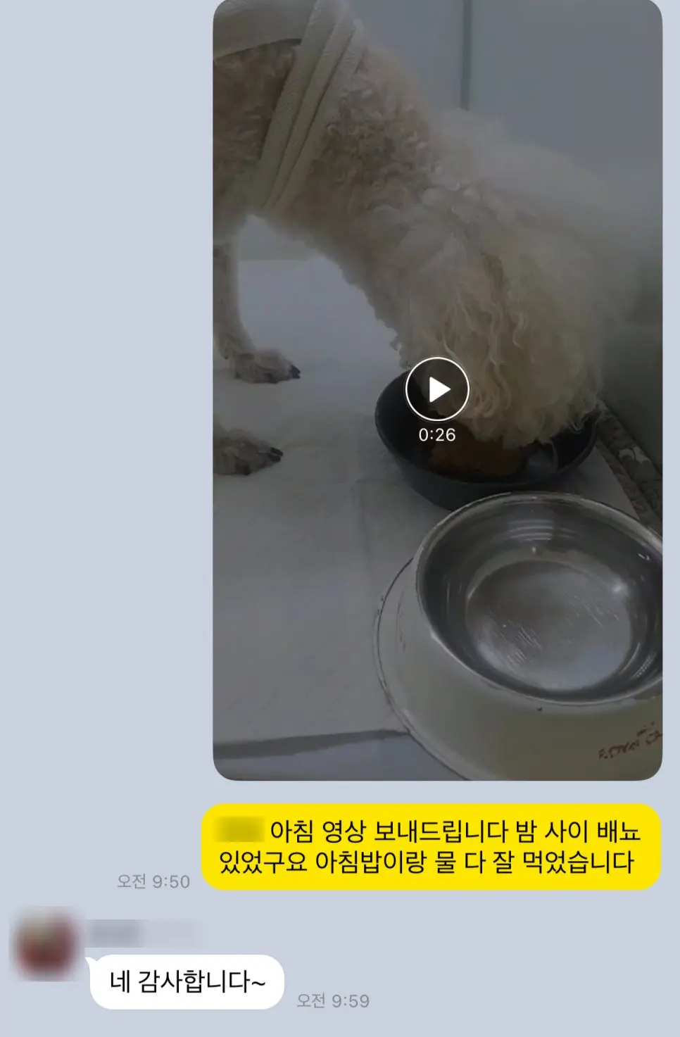 입원 중 아침, 밥과 물을 먹는 모습을 영상으로 보내 드렸습니다