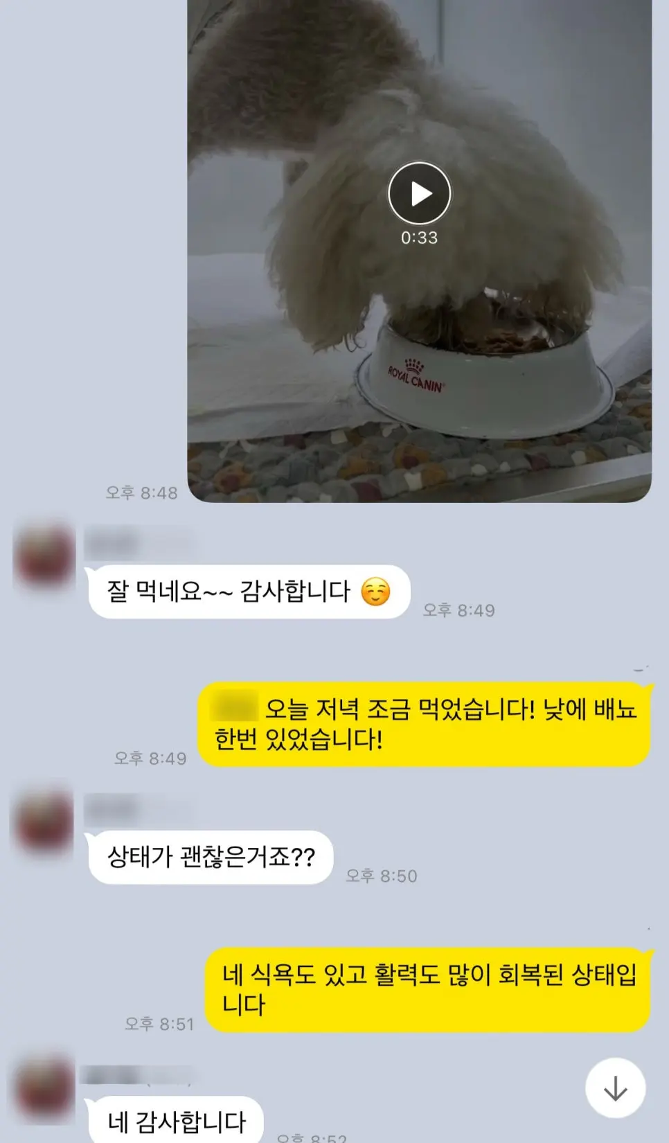 저녁 식사량과 배뇨 여부도 함께 공유했습니다