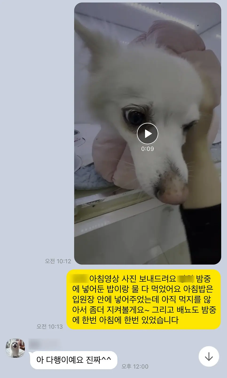 마취에서 깨어나 회복 중인 모습