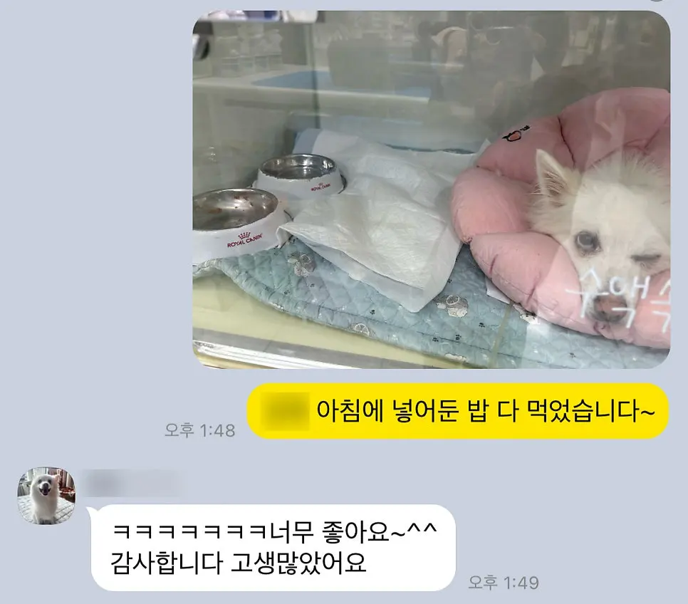 입원장에서 안정을 취하고 있습니다