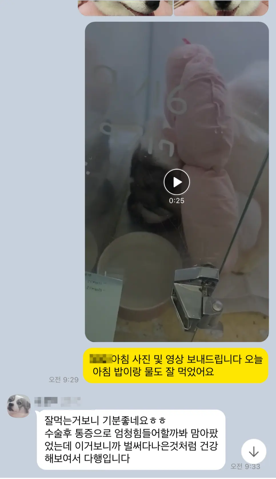 입원 중에는 상태를 사진과 함께 그날그날 알려드립니다