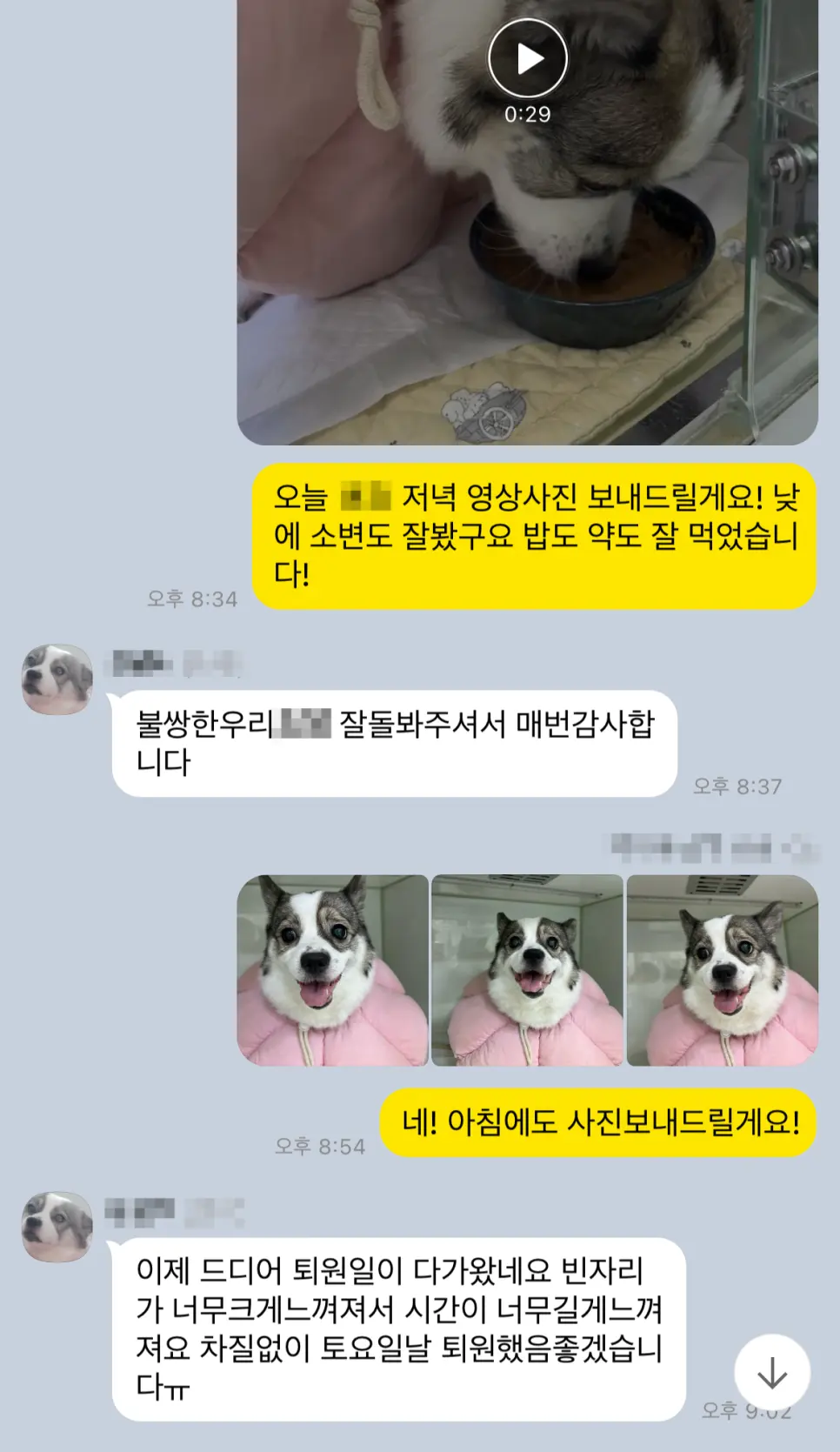 밥과 물을 잘 넘기는지, 잠은 자는지까지 그대로 전합니다