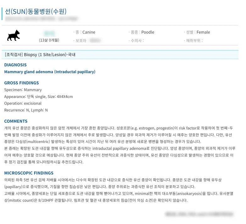 조직검사 판독지, 좌측 5번 유선의 단독 종괴로 기록되었습니다