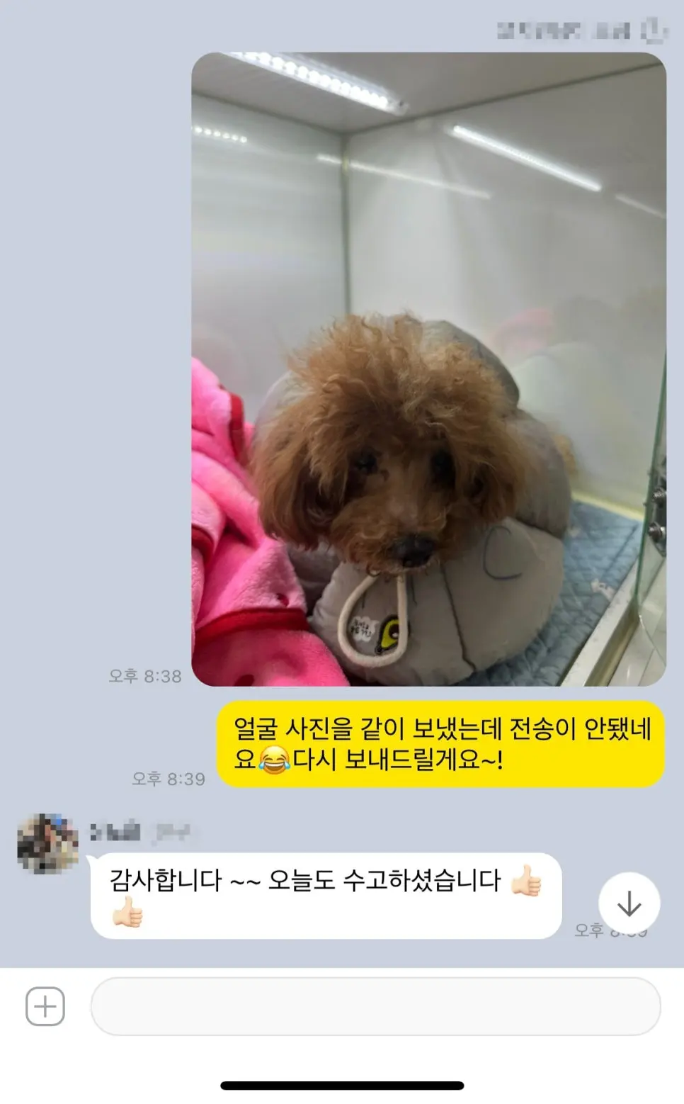 입원 중 보호자님께 보내 드린 저녁 사진