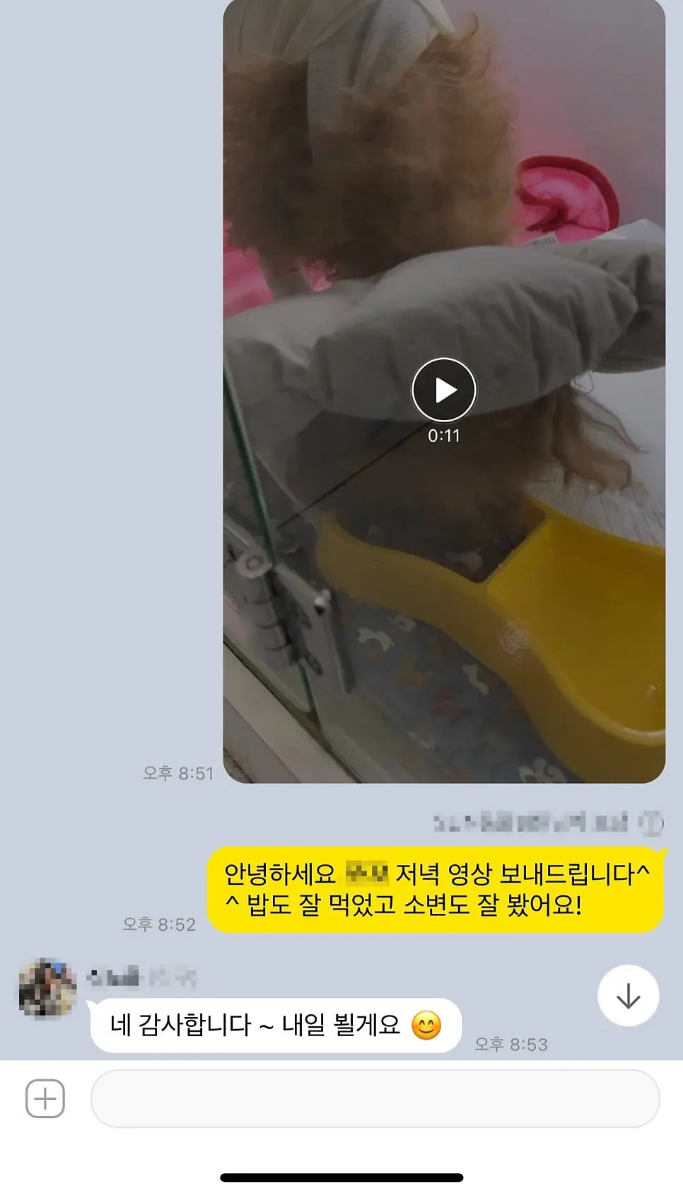 밥과 소변 상태를 적어 보낸 저녁 영상