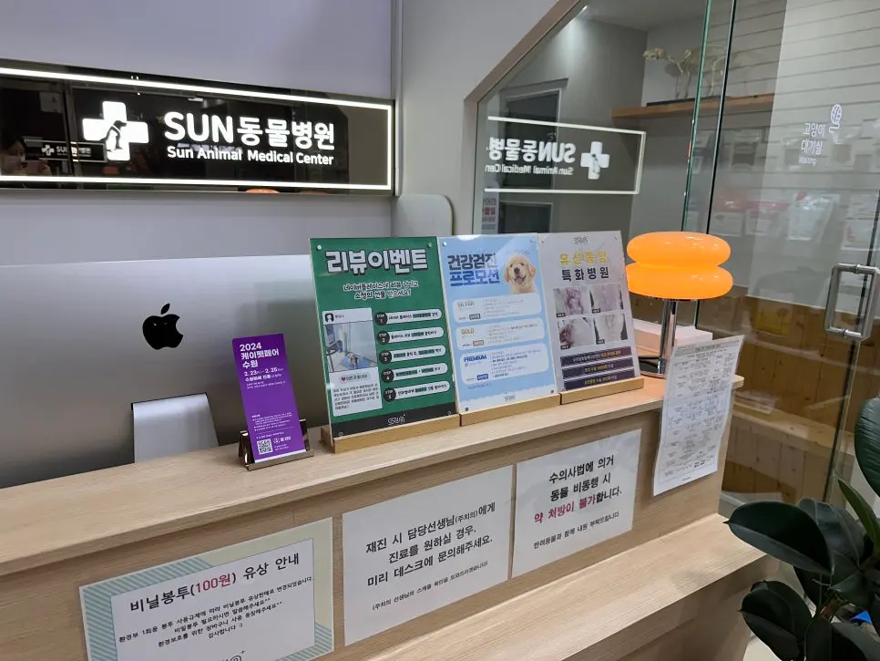 내원 당시 여섯 살 비숑프리제입니다.