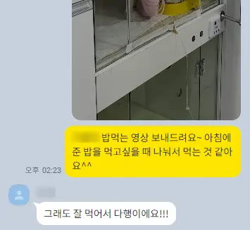 입원 기간에도 보호자님과 상태를 주고받았습니다.