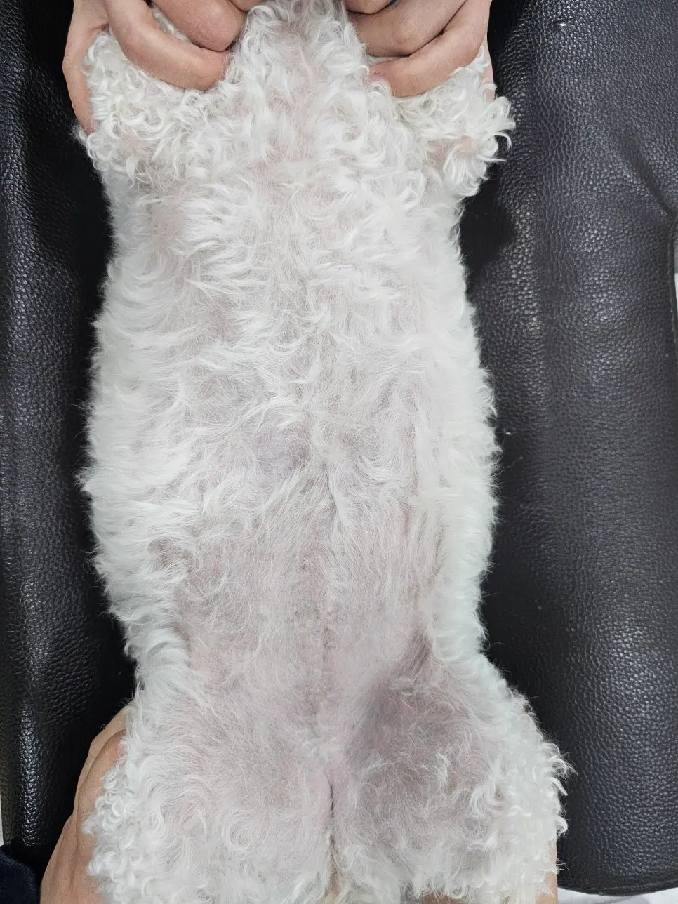 봉합선이 눈에 잘 띄지 않을 만큼 정리되었습니다.