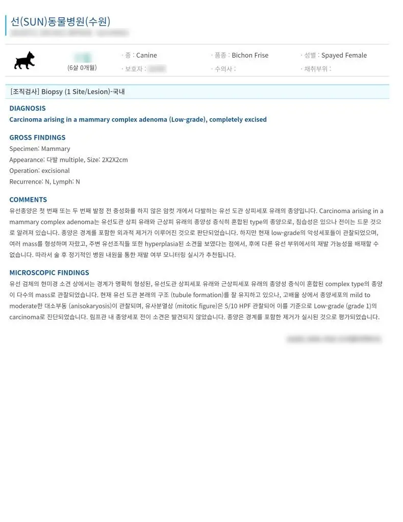 떼어낸 종양을 보낸 조직검사 결과지입니다.