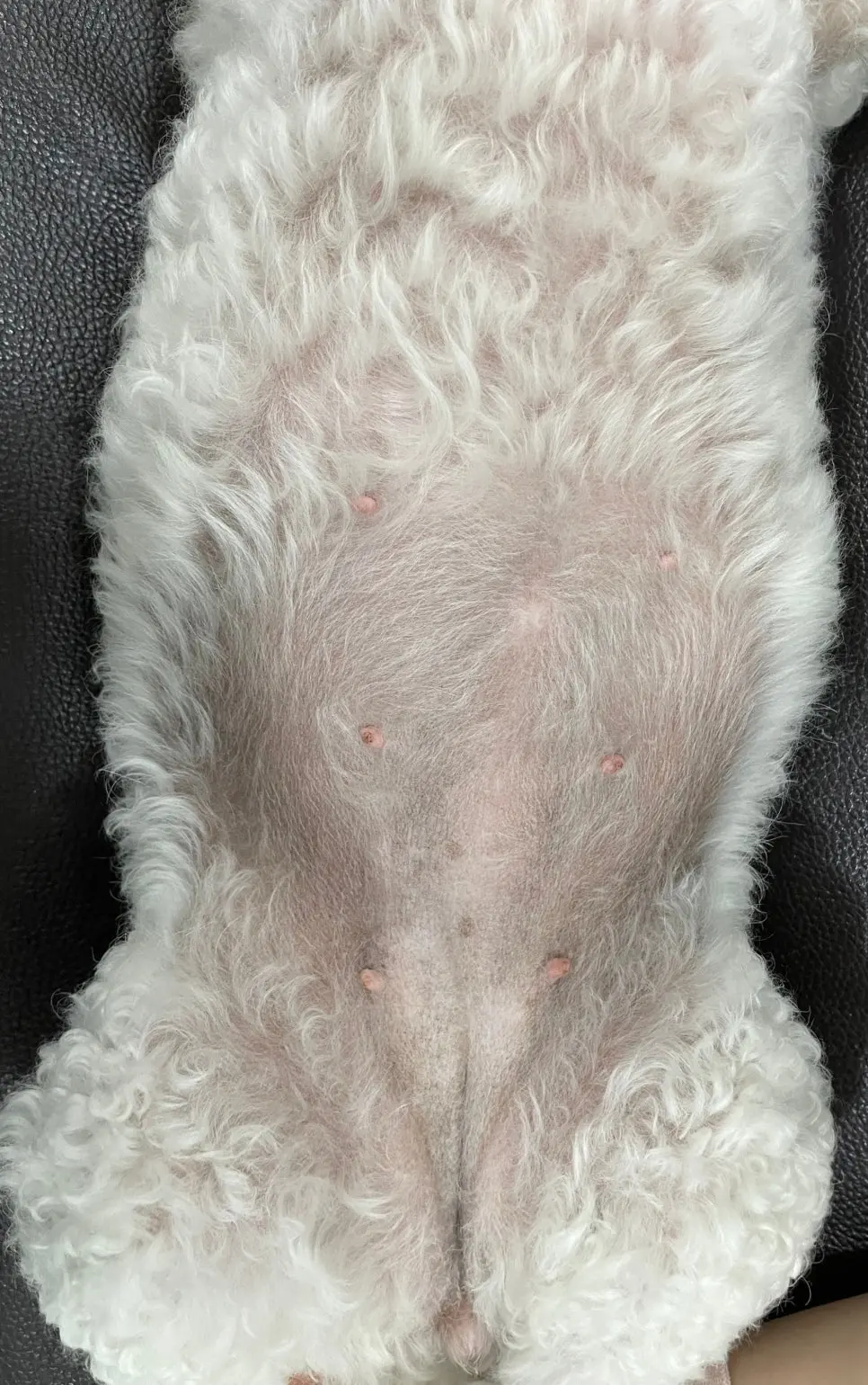 한 곳이 아니라 여러 유선에 걸쳐 흩어져 있었습니다.