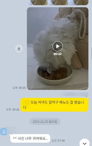 저녁 식사와 배뇨를 확인한 뒤 보호자님께 영상으로 전해 드렸습니다.