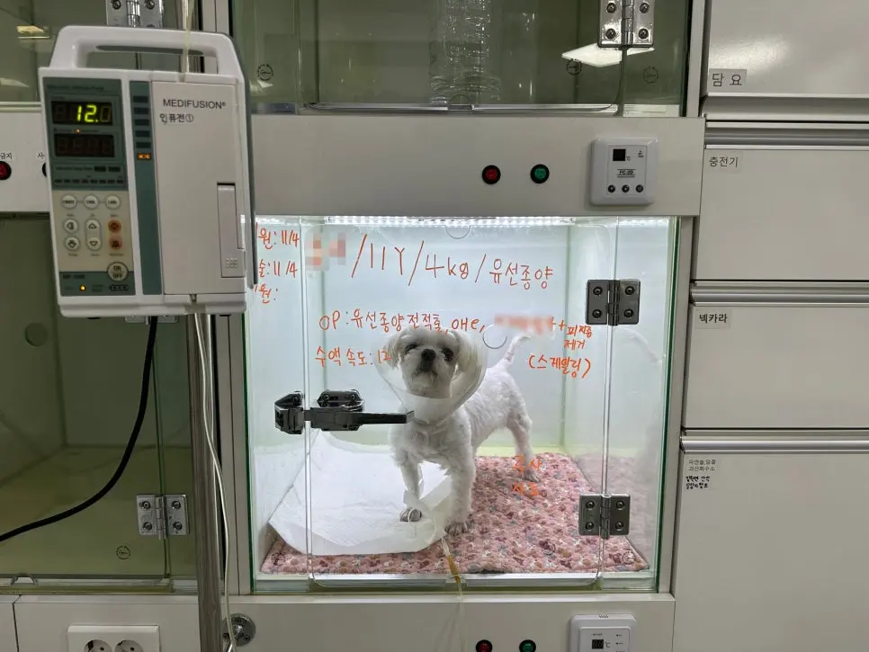 입원장에 아이 정보와 그날 예정된 수술을 적어 두고 수액을 넣었습니다