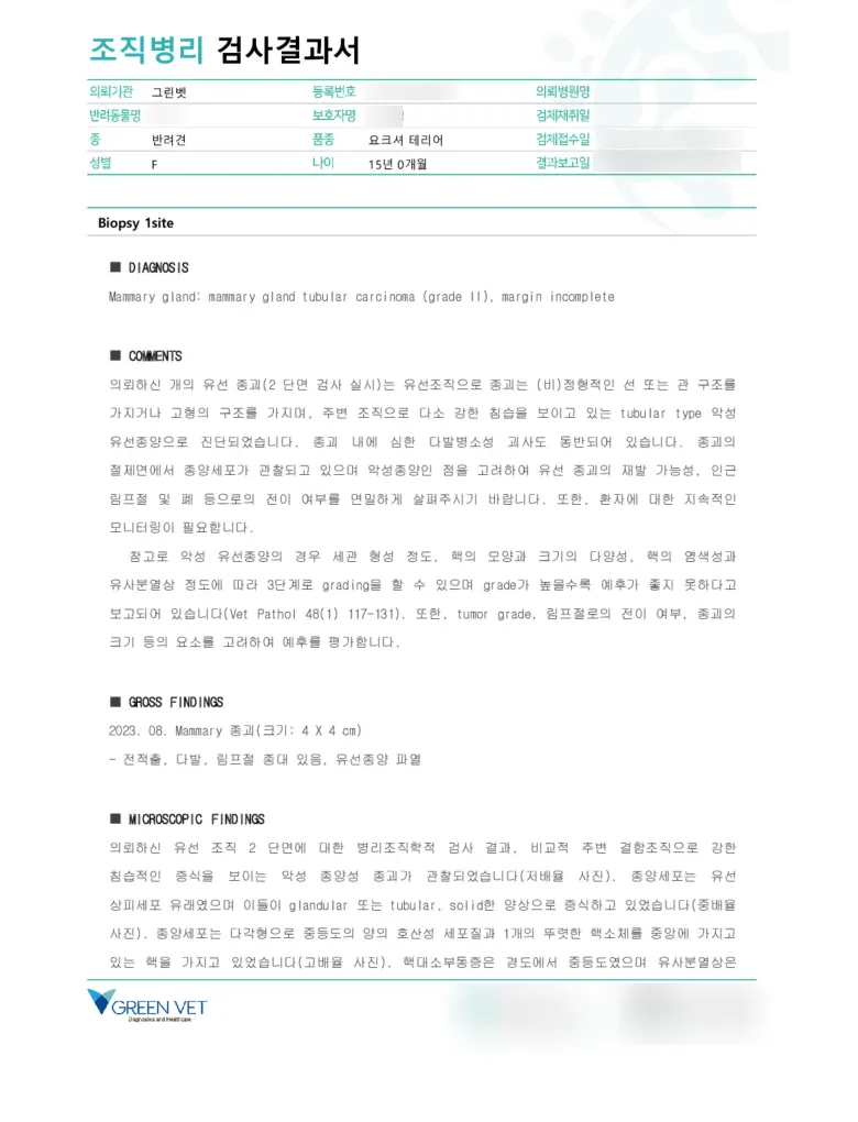 의뢰한 조직병리 검사결과서