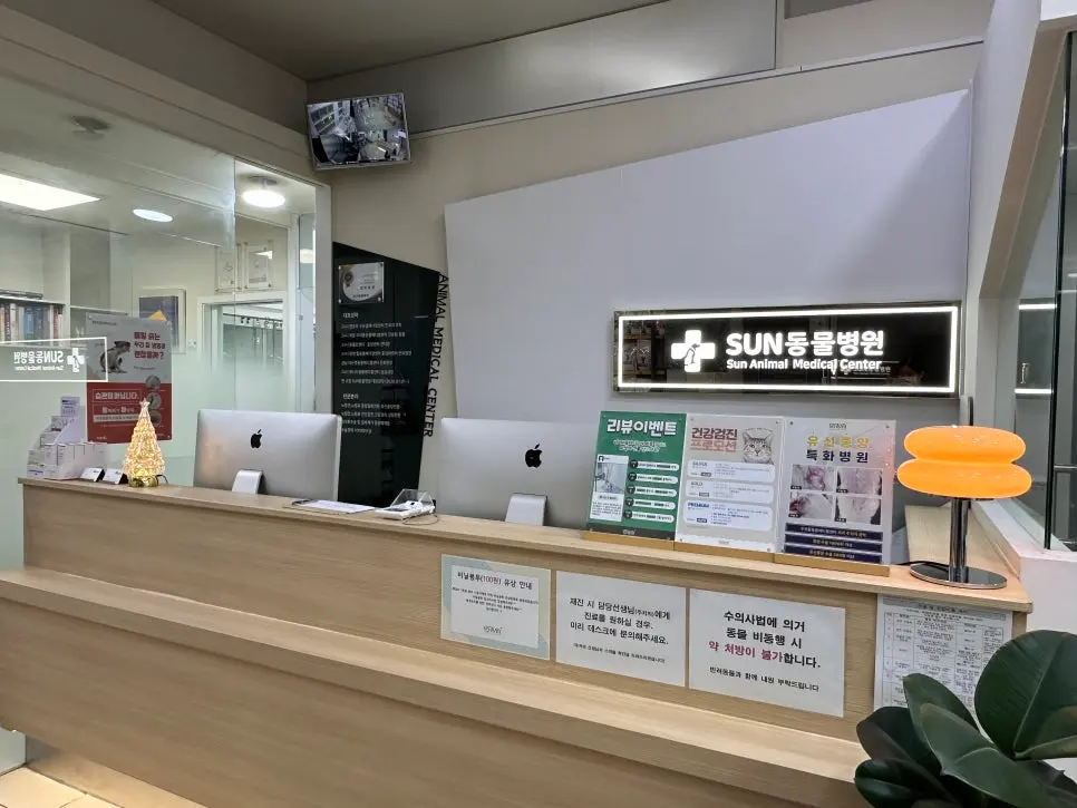 접수 데스크와 진료실로 이어지는 대기 공간