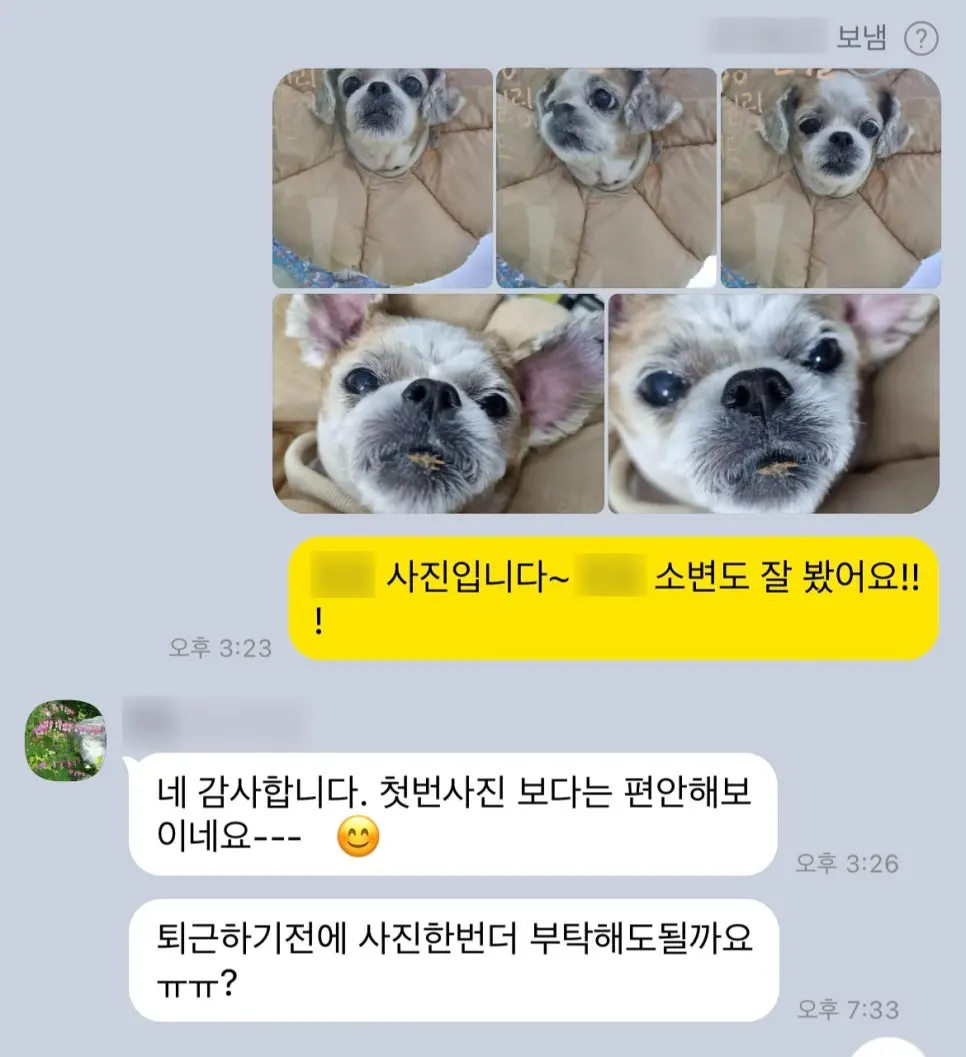 입원 중 보호자님께 보내드린 사진과 메시지