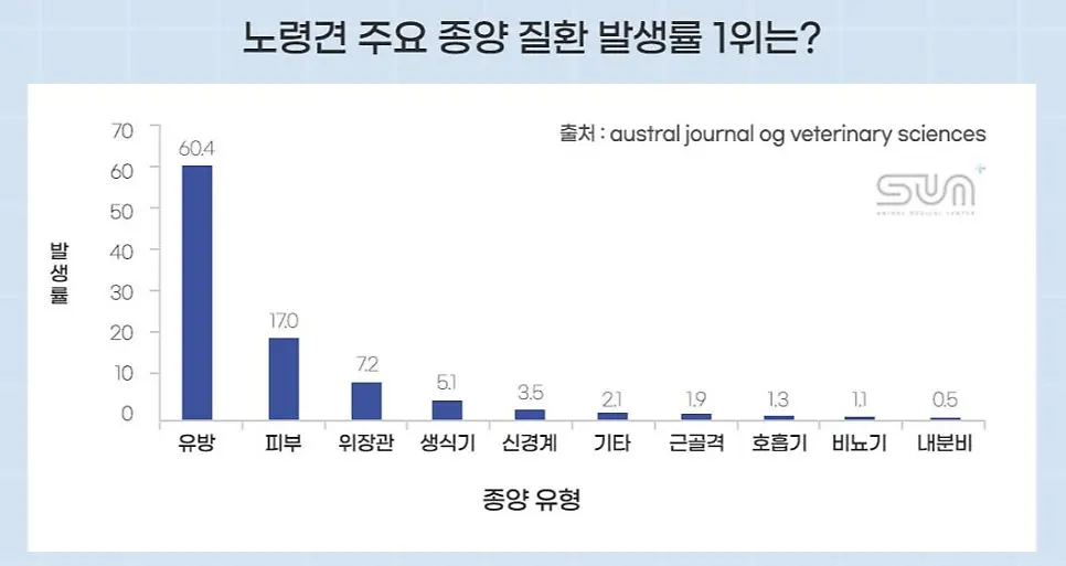노령견 종양 유형별 발생률 그래프. 유방이 60.4%로 가장 높습니다