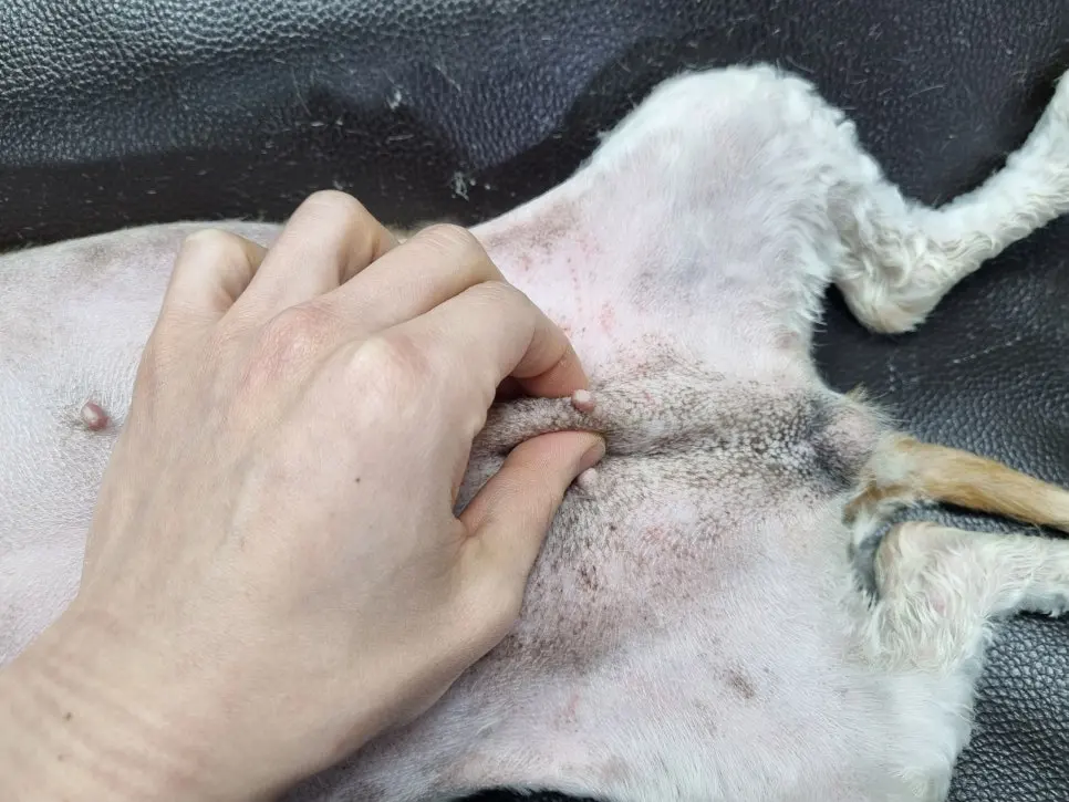 덩어리가 잡히는 지점을 확인