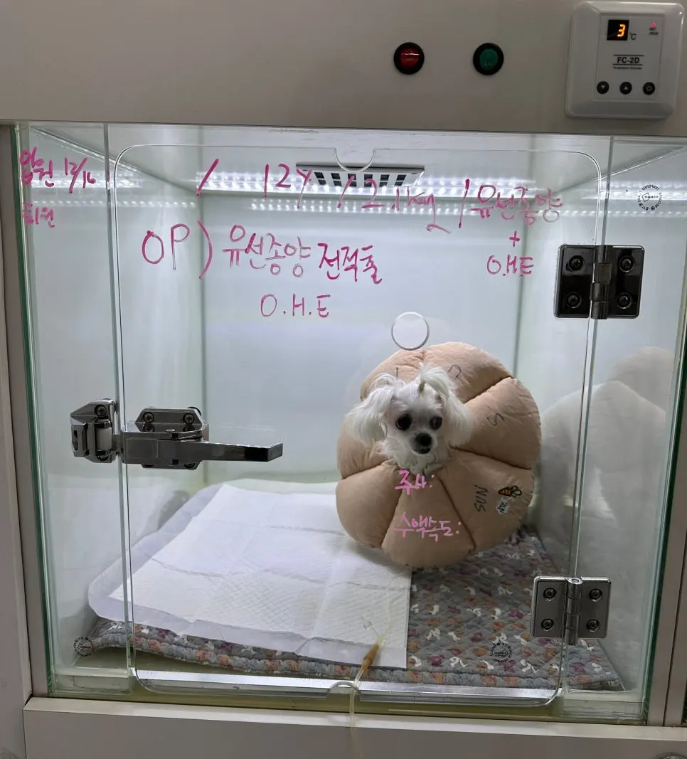 입원장에 수술 예정 내용을 함께 적어 관리합니다