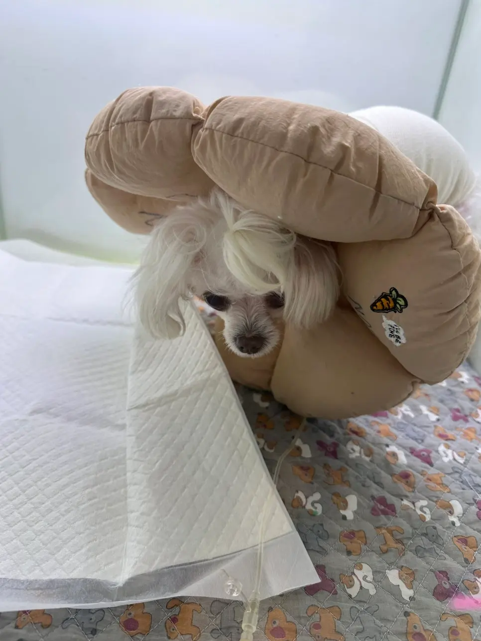 회복 중인 아이