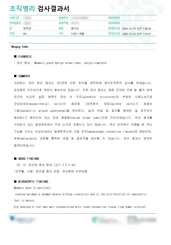의뢰한 조직병리 검사결과서