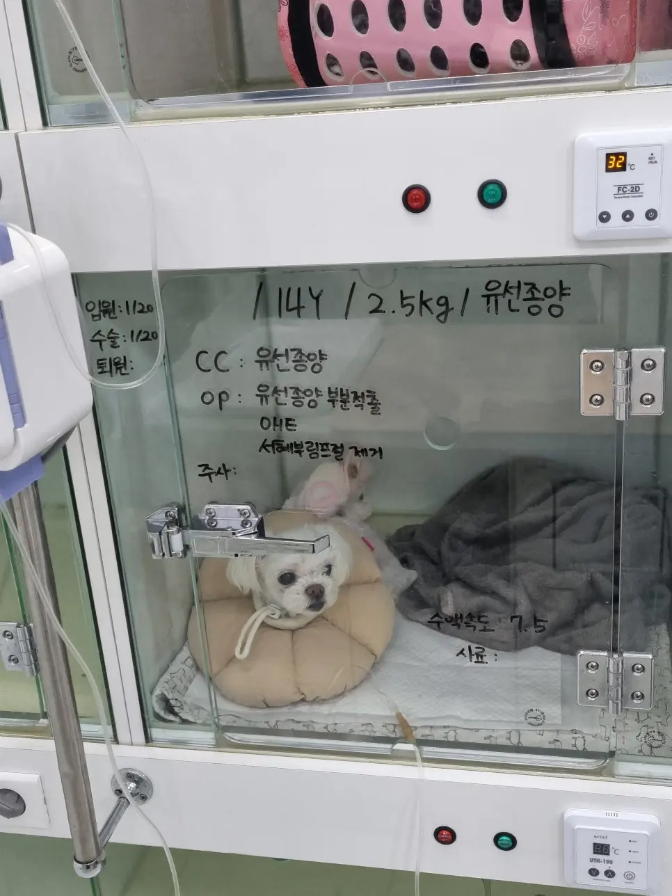 입원장 문에 적힌 입원일과 수술일. 두 날짜가 같은 날입니다