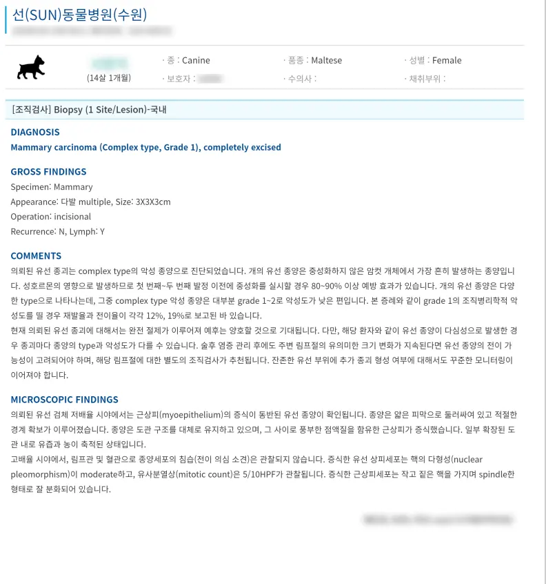 의뢰한 조직병리 검사결과서