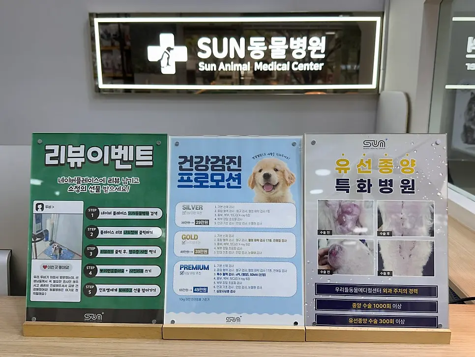 내원 당시 13살 말티즈의 모습입니다