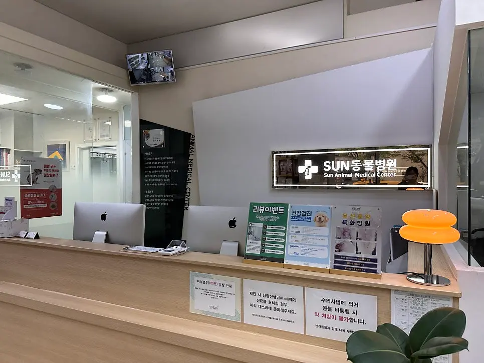 가슴 쪽에 자리한 큰 종괴가 겉으로도 드러납니다