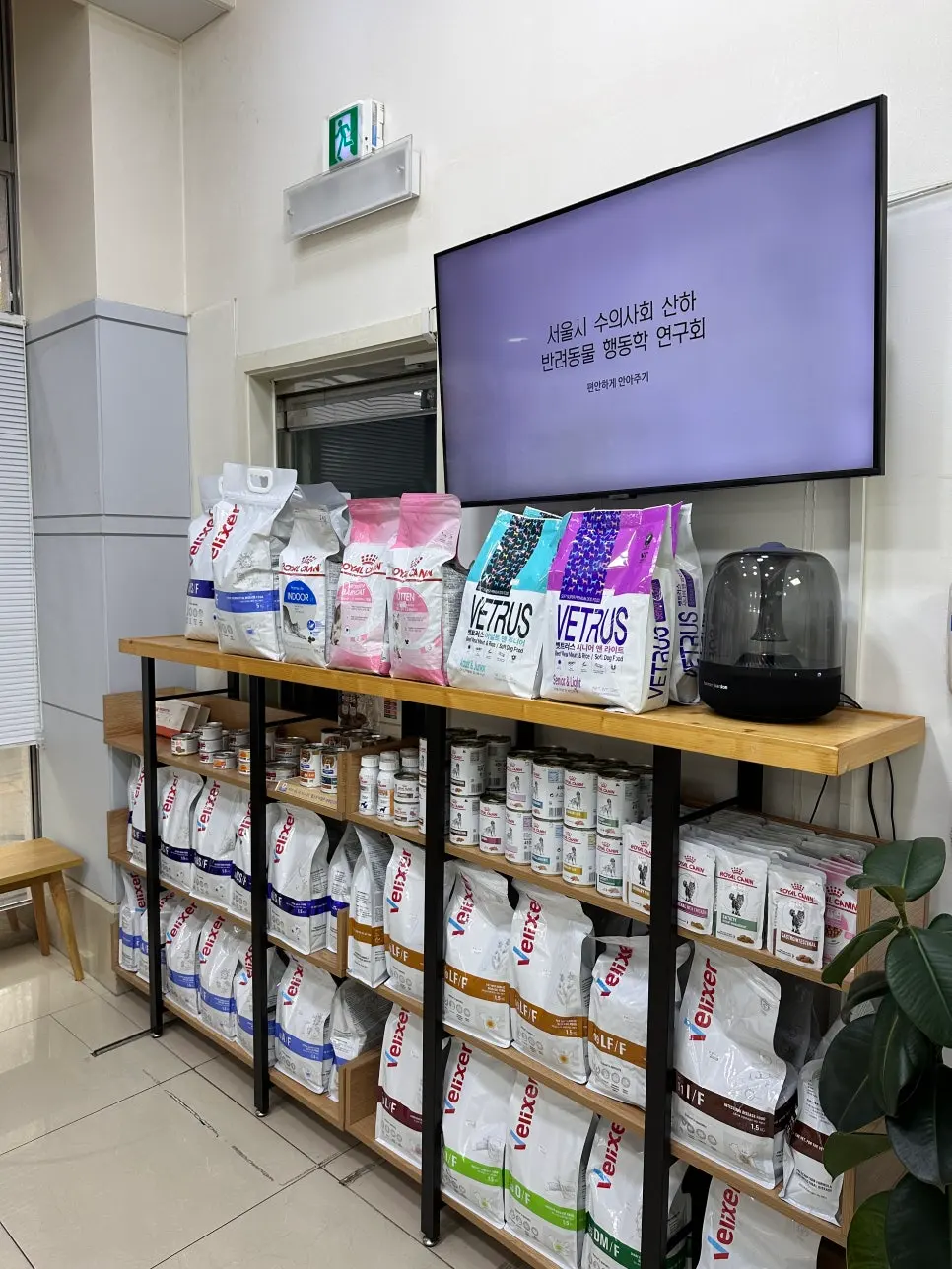 초진에서 종괴의 위치와 개수를 기록했습니다