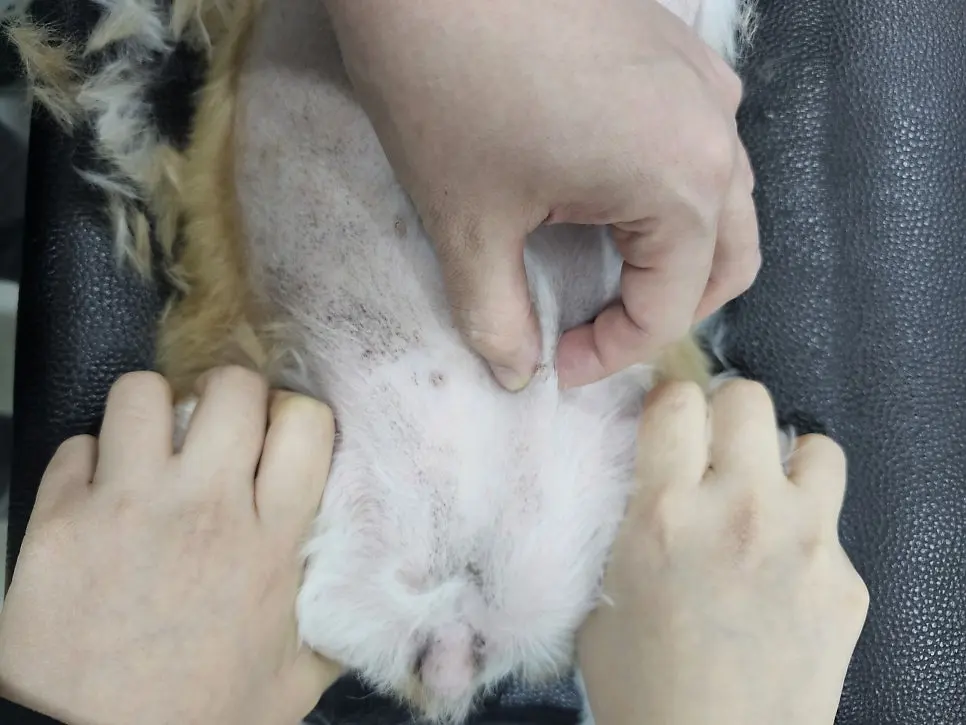 뒤쪽 유선까지 이어서 촉진