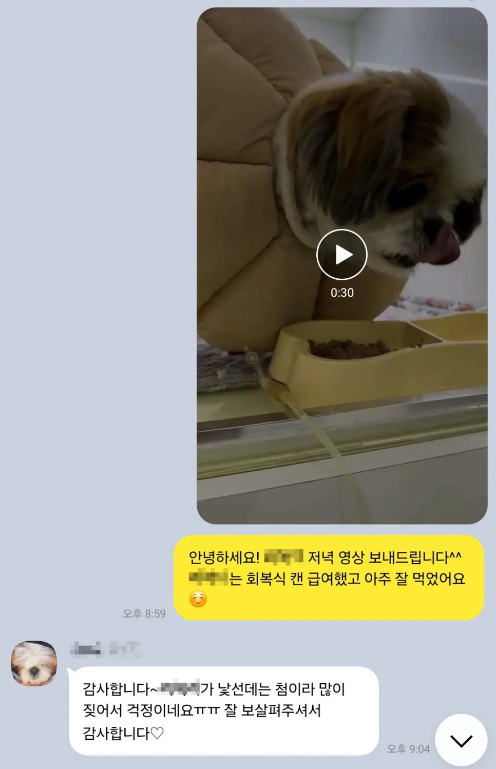 저녁에 회복식 캔을 먹는 모습을 보내드린 기록