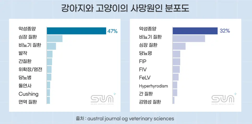 개와 고양이의 사망 원인 분포 도표, 악성종양이 각각 47%와 32%로 맨 앞에 있다