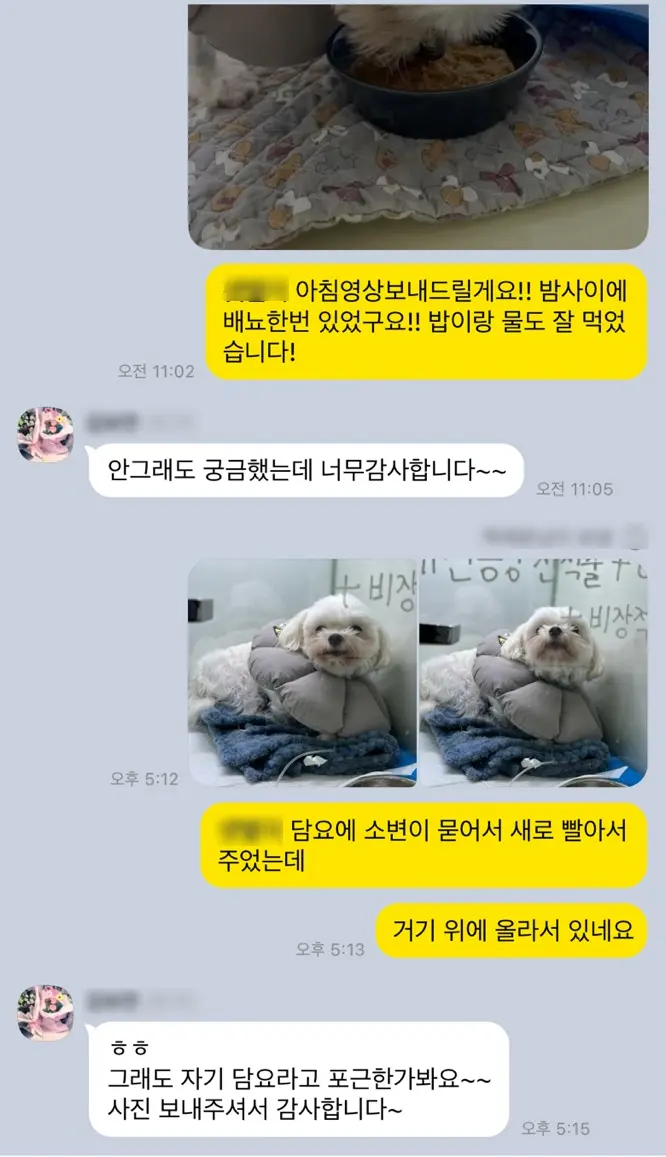 입원 중 배뇨와 식사 상태를 공유했습니다