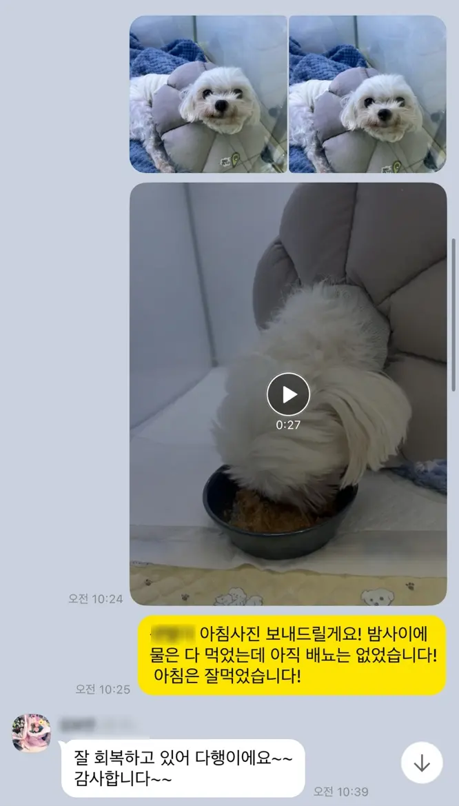 아침에 회복식을 먹는 모습, 환자복과 넥카라를 착용한 상태입니다