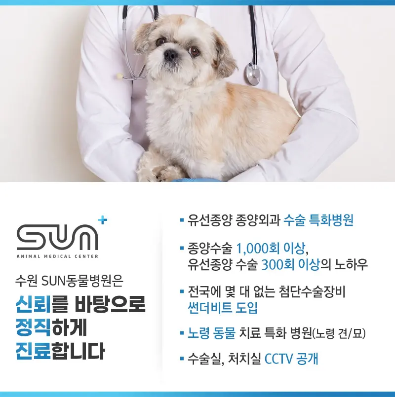 썬더비트는 자르는 일과 지혈을 한 번에 처리합니다.