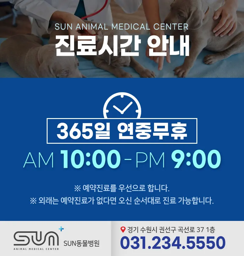 강아지 유선종양 수술비용 및 수술 방법은?