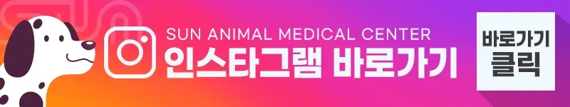 강아지 유선종양 수술비용 및 수술 방법은?