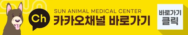 강아지 유선종양 수술비용 및 수술 방법은?