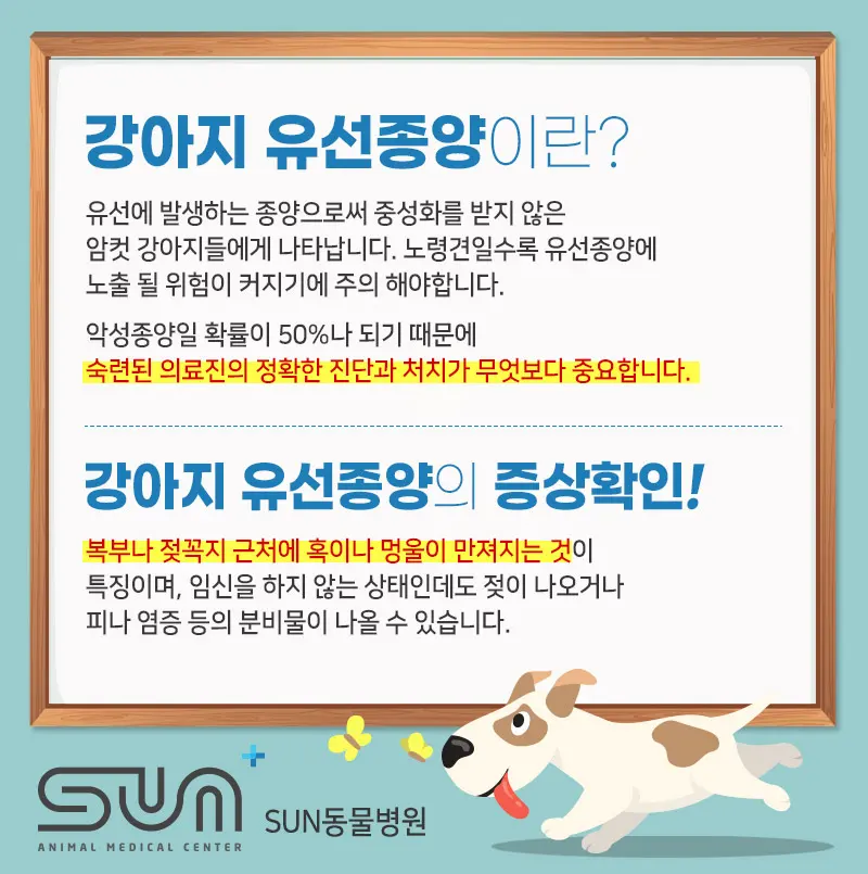 떼어내는 자리가 늘면 절개 길이와 봉합 면적도 함께 늘어납니다.
