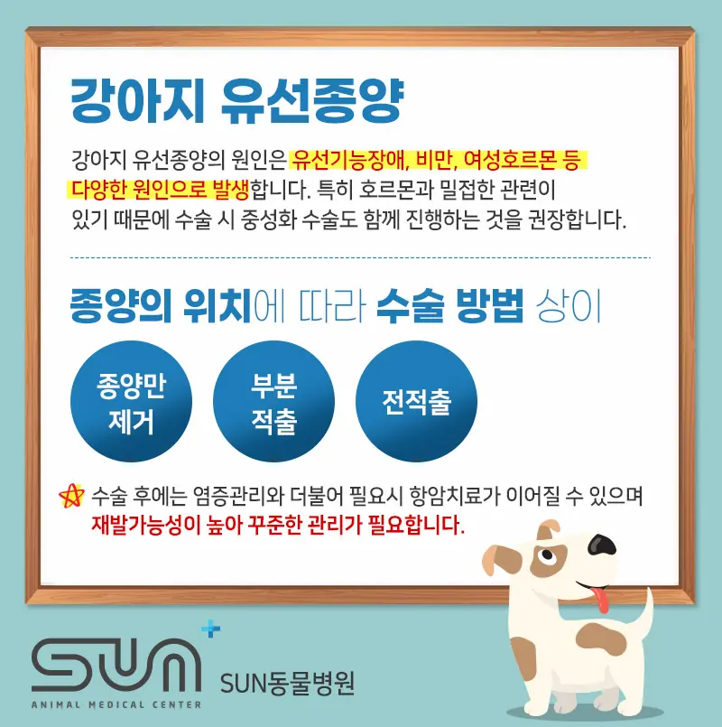 뿌뿌는 왼쪽 1번과 2번, 4번 유선을 골라 떼는 부분 적출로 진행했습니다.