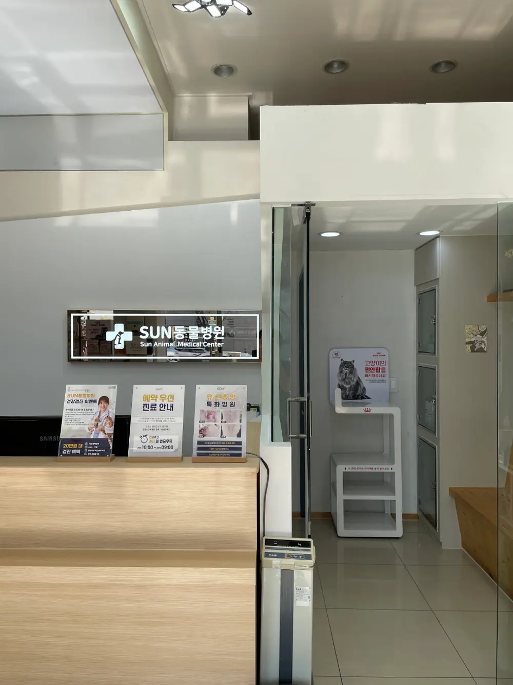 한 번의 마취로 묶으면 마취와 입원은 한 차례로 정리됩니다.
